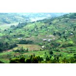 Koala * Ruanda Ngera 200g