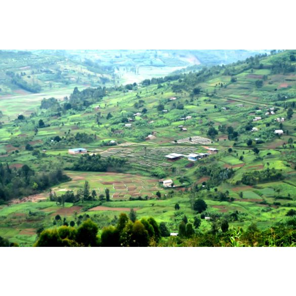 Koala * Ruanda Ngera 200g