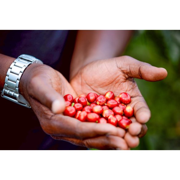 Koala * Ruanda Ngera 200g