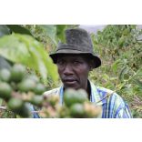 Koala * Ruanda Ngera 200g